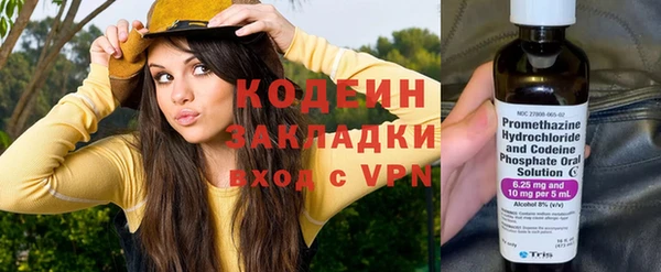 шишки Кулебаки