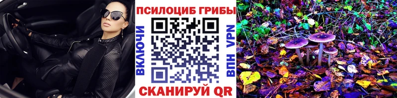 Галлюциногенные грибы мухоморы  MEGA рабочий сайт  дарк нет состав  Ильский 